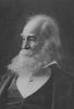 whitman5.jpg