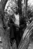 Filename=yusef4.jpg
Filesize=35KiB
Dimensions=216x315
Date added=Feb 23, 2007 yusef4.jpg